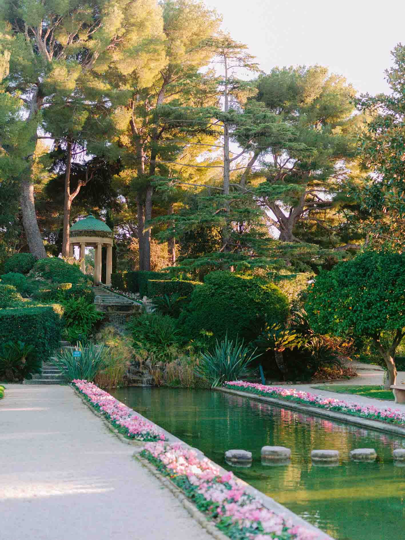 détail d un banc avec fleurs c est une rose